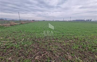 ERA PORT GÜVENCESİYLE YAKUPKÖY'DE SATILIK TARLA