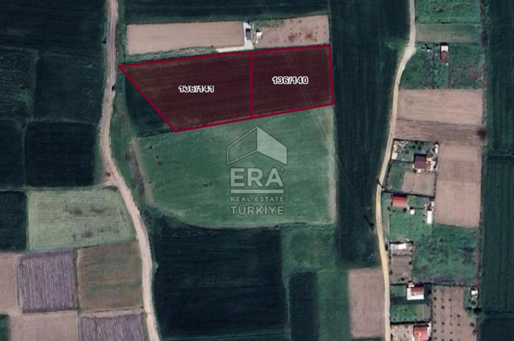ERA PORT GÜVENCESİYLE YAKUPKÖY'DE SATILIK TARLA