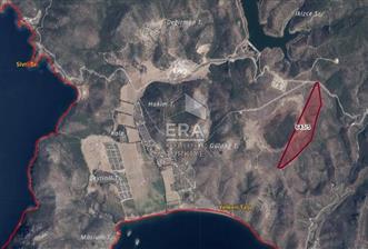 Karaburun Küçükbahçede Satılık Zeytin Ağaçlı Tarla 267.925 m² - 1 - 14404