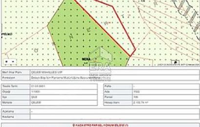 Şile Çelebi'de Satılık Tek Tapu Tarla