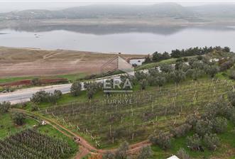 ERA KARAT BİLECİK OSMANELİ'DE 3.336 M2 SATILIK TARLA - 1 - 14409