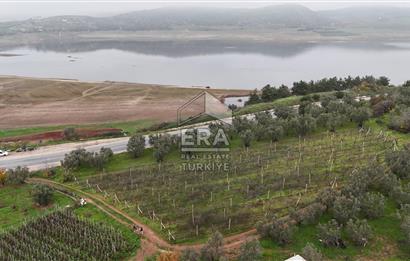 ERA KARAT BİLECİK OSMANELİ'DE 3.336 M2 SATILIK TARLA