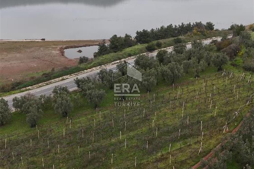 ERA KARAT BİLECİK OSMANELİ'DE 3.336 M2 SATILIK TARLA