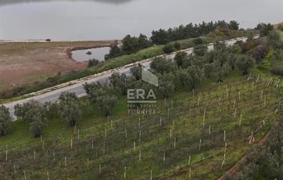 ERA KARAT BİLECİK OSMANELİ'DE 3.336 M2 SATILIK TARLA