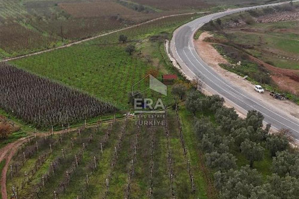 ERA KARAT BİLECİK OSMANELİ'DE 3.336 M2 SATILIK TARLA