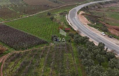 ERA KARAT BİLECİK OSMANELİ'DE 3.336 M2 SATILIK TARLA