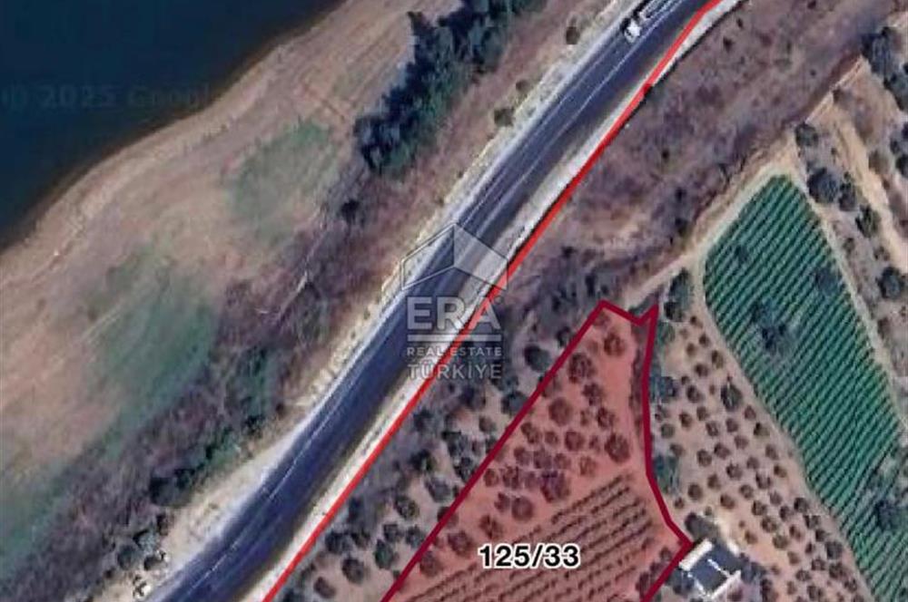 ERA KARAT BİLECİK OSMANELİ'DE 3.336 M2 SATILIK TARLA