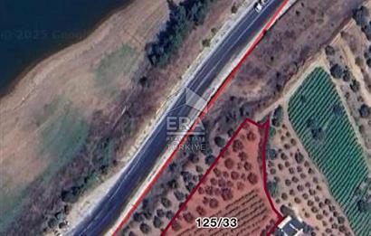 ERA KARAT BİLECİK OSMANELİ'DE 3.336 M2 SATILIK TARLA