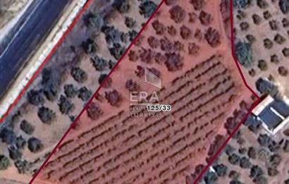 ERA KARAT BİLECİK OSMANELİ'DE 3.336 M2 SATILIK TARLA