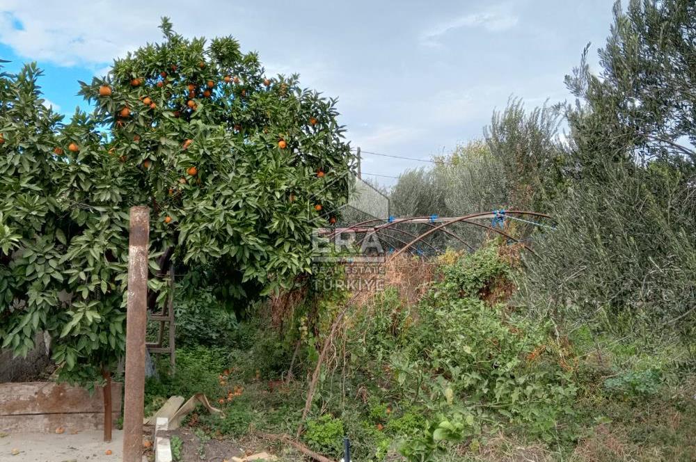 AYDIN SÖKE ÇİFTLİK EVİ