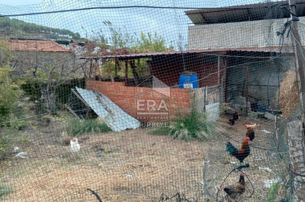 AYDIN SÖKE ÇİFTLİK EVİ