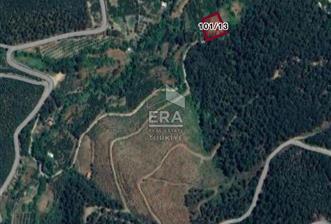 Kemalpaşa Kamberlerde Satılık Kestanelik - 2 - 14508