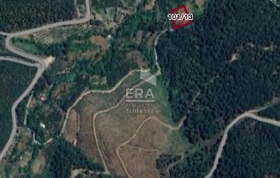 Kemalpaşa Kamberlerde Satılık Kestanelik