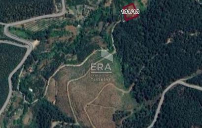 Kemalpaşa Kamberlerde Satılık Kestanelik