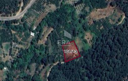 Kemalpaşa Kamberlerde Satılık Kestanelik