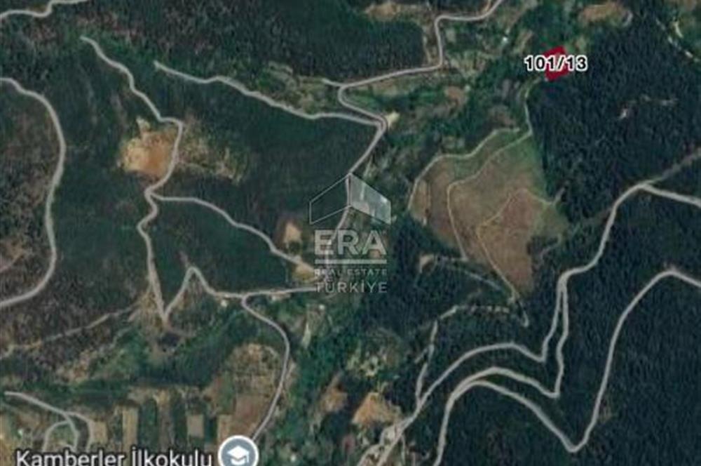 Kemalpaşa Kamberlerde Satılık Kestanelik