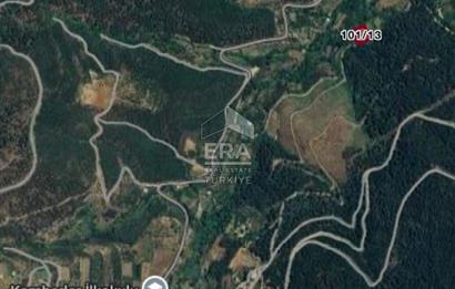 Kemalpaşa Kamberlerde Satılık Kestanelik