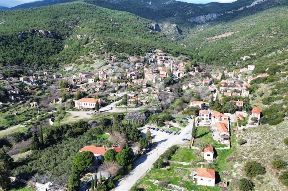 AYDIN SÖKE DOĞANBEY SATILIK ZEYTİNLİK