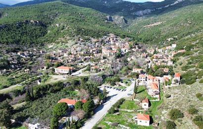 AYDIN SÖKE DOĞANBEY SATILIK ZEYTİNLİK