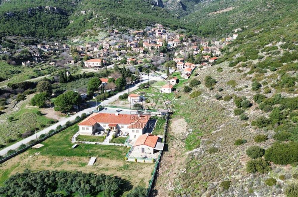 AYDIN SÖKE DOĞANBEY SATILIK ZEYTİNLİK