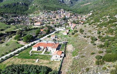 AYDIN SÖKE DOĞANBEY SATILIK ZEYTİNLİK