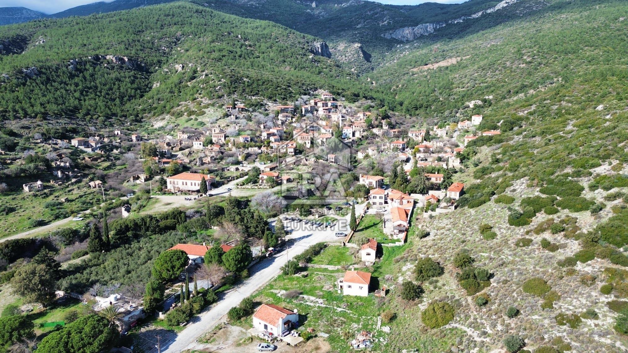 AYDIN SÖKE DOĞANBEY SATILIK ZEYTİNLİK