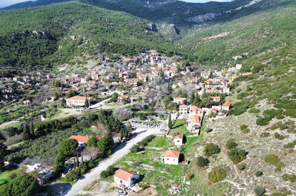 AYDIN SÖKE DOĞANBEY SATILIK ZEYTİNLİK