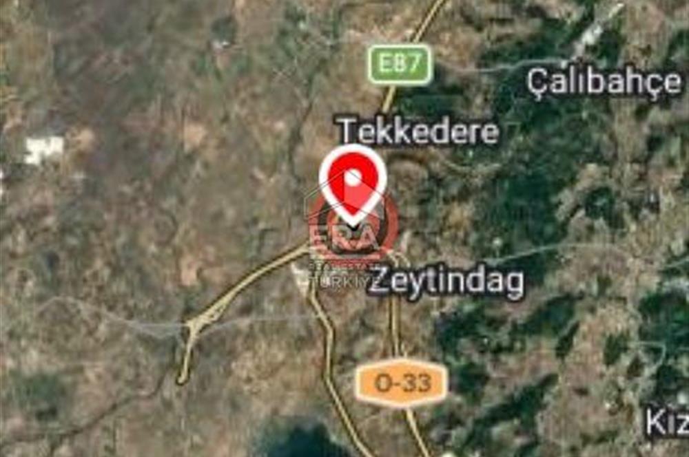 BERGAMA ZEYTİNDAĞ DA SATILIK ZEYTİNLİK HİSSE