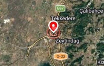 BERGAMA ZEYTİNDAĞ DA SATILIK ZEYTİNLİK HİSSE