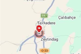 BERGAMA ZEYTİNDAĞ DA SATILIK ZEYTİNLİK HİSSE - 3 - 14520