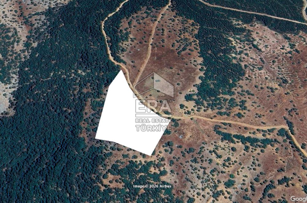 DENİZLİ ÇİVRİL AKDAĞ 15 DÖNÜM TEK TAPU RESMİ YOLU VAR