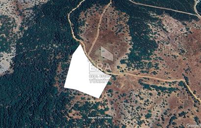 DENİZLİ ÇİVRİL AKDAĞ 15 DÖNÜM TEK TAPU RESMİ YOLU VAR