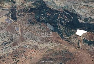 DENİZLİ ÇİVRİL AKDAĞ 15 DÖNÜM TEK TAPU RESMİ YOLU VAR - 1 - 14536