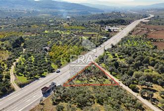 KEMALPAŞA VİŞNELİ PHİLSA CAD. CEPHELİ TEK TAPU 1.581 M2 - 1 - 14537