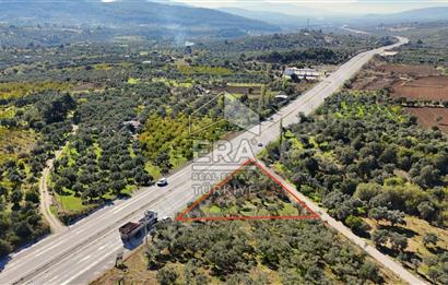 KEMALPAŞA VİŞNELİ PHİLSA CAD. CEPHELİ TEK TAPU 1.581 M2