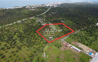ERA Angel'dan Yola Cephe, 11.220 m² Çok Amaçlı Zeytinlik 