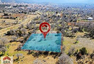 Denizli Tavas Merkeze 5 Km Uzaklıkda (Hobi Bahçesi) Satılık Bağ - 10 - 14586