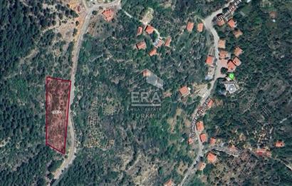 ANTALYA İBRADI ÜZÜMDERE MAHALLESİ SATILIK TEK TAPU TARLA