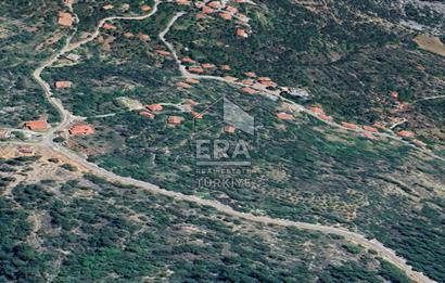 ANTALYA İBRADI ÜZÜMDERE MAHALLESİ SATILIK TEK TAPU TARLA