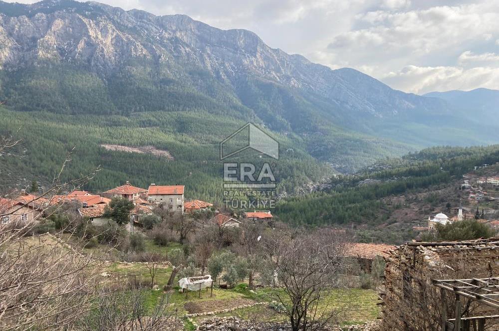 ANTALYA İBRADI ÜZÜMDERE MAHALLESİ SATILIK TEK TAPU TARLA