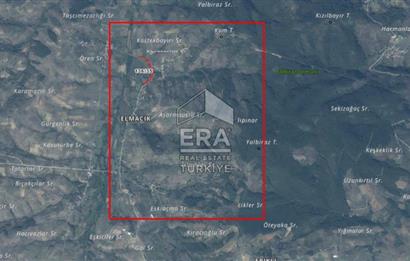 KOCAELİ ELMACIK'TA YATIRIMLIK TARLA 