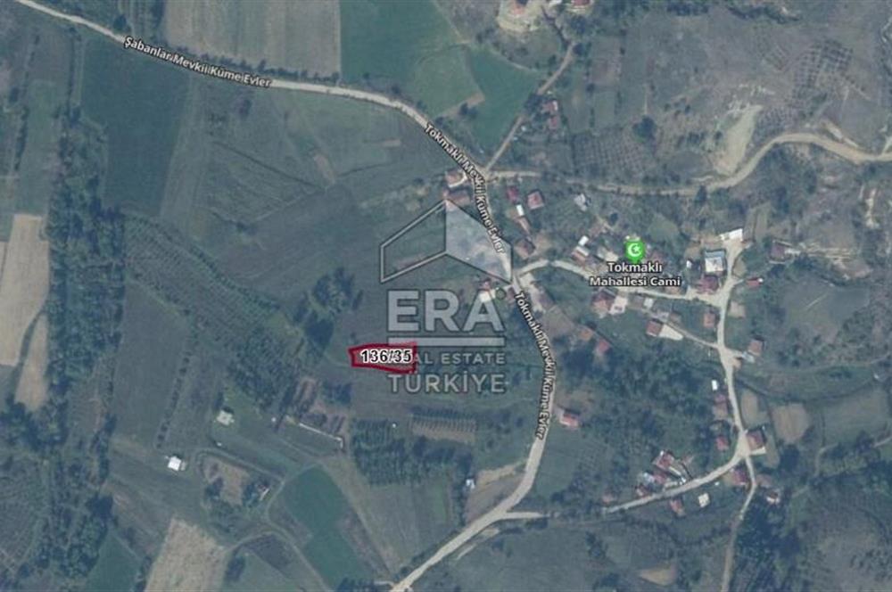 KOCAELİ ELMACIK'TA YATIRIMLIK TARLA 