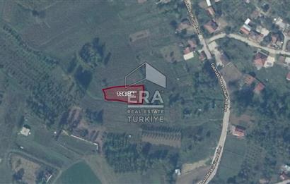 KOCAELİ ELMACIK'TA YATIRIMLIK TARLA 