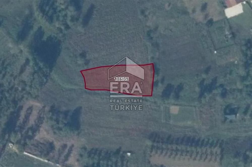 KOCAELİ ELMACIK'TA YATIRIMLIK TARLA 