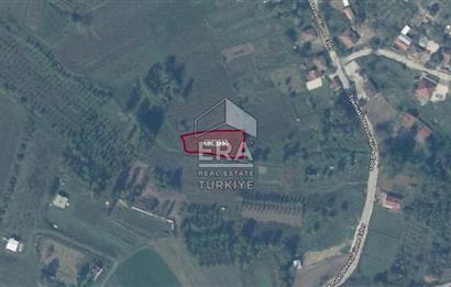 KOCAELİ ELMACIK'TA YATIRIMLIK TARLA 