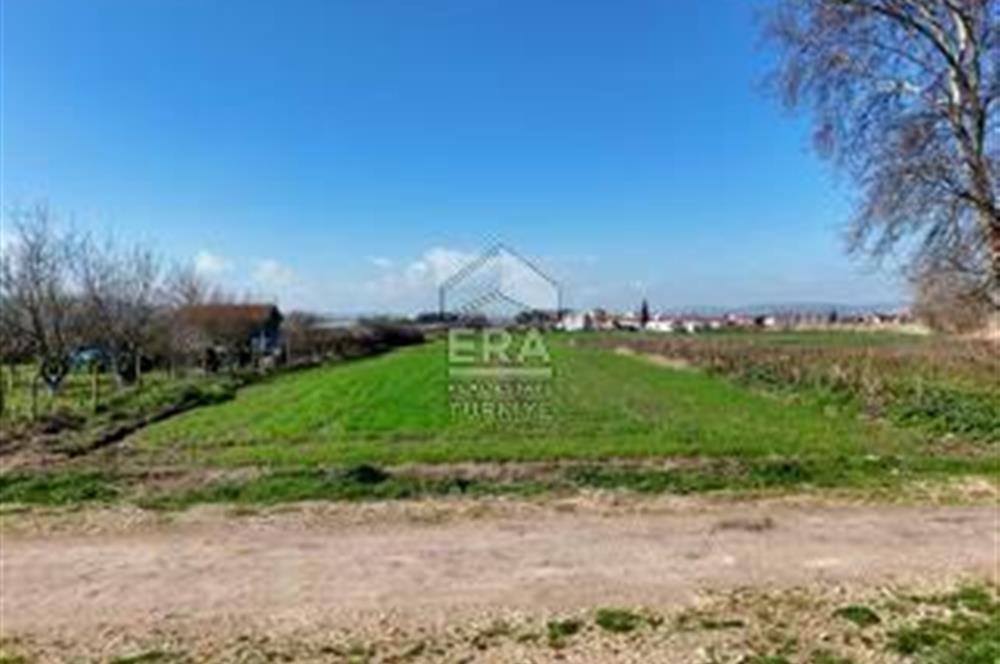 BALIKESİR BÜYÜKBOSTANCI'DA ANA YOLA YAKIN SATILIK TARLA