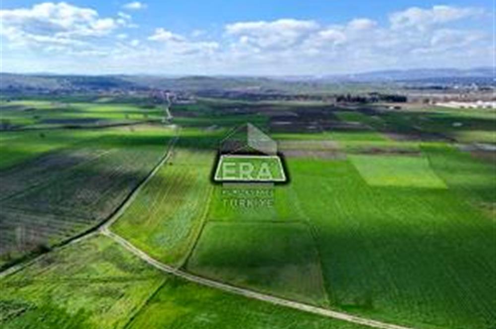 BALIKESİR BÜYÜKBOSTANCI'DA 3496 m² SATILIK TARLA