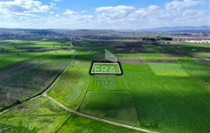 BALIKESİR BÜYÜKBOSTANCI'DA 3496 m² SATILIK TARLA