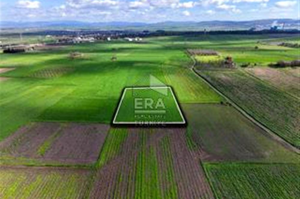 BALIKESİR BÜYÜKBOSTANCI'DA 3496 m² SATILIK TARLA