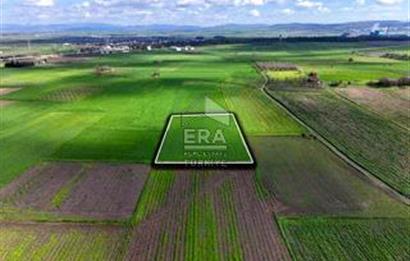 BALIKESİR BÜYÜKBOSTANCI'DA 3496 m² SATILIK TARLA